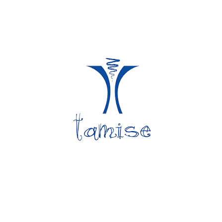 Tamise